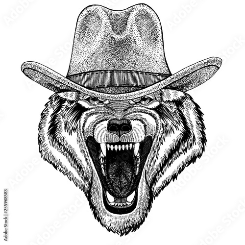 Wolf, dog wearing cowboy hat. Wild west animal. Hand drawn image for tattoo, emblem, badge, logo, patch, t-shirt