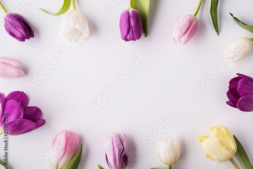 Fototapeta Naklejka Na Ścianę i Meble -  Various spring flowers on a white background. Copy space.