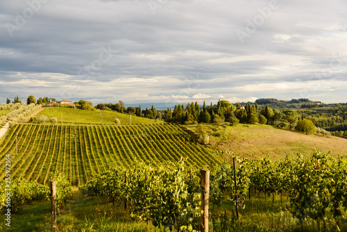 Herbstliche Toskana auf einem Weingut im Chiantigebiet im Schein der untergehenden Abendsonne