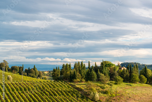 Herbstliche Toskana auf einem Weingut im Chiantigebiet im Schein der untergehenden Abendsonne photo