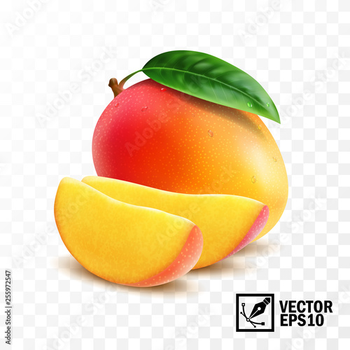 Fotografie, Obraz Whole and slice mango fruit with leaf, 3D realistic isolated vector, editable ha
