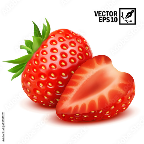 3d realistic isolated vector whole and slice of strawberry, editable handmade mesh