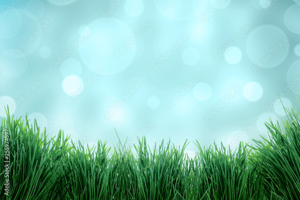 Naklejka zielona trawa na białym tle