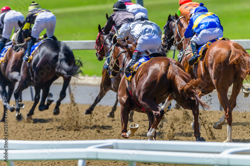 Horse Racing  Animals Pounding Hoofs Track