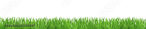 Gras Banner Hintergrund wiederholend