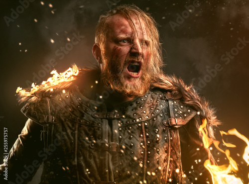 Cuadro en lienzo Wikinger im Kampf