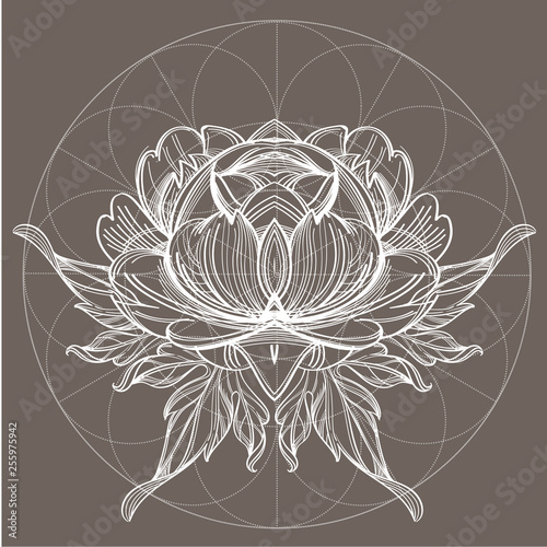 Elegant element of a stylized flower with smooth lines. Stylized floral element for design.