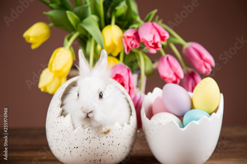 Easter rabbit in a shell of eggs. Pastel egg, flowers © dianaduda