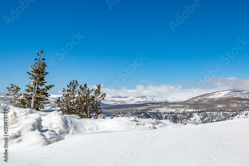 Looking out at a snowy Utah landscape, with a blue sky overhead