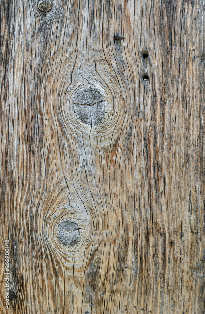 Old Wood Texture With Wood Knots Old Wood Texture With Wood Knots