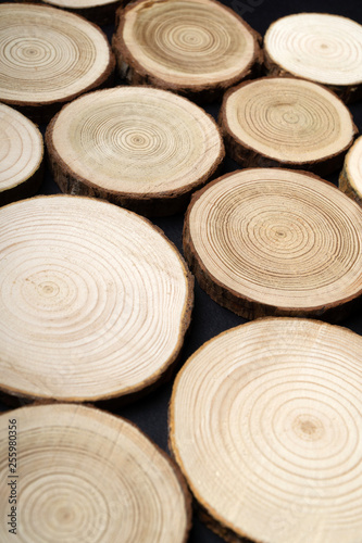 Pine tree cross-sections with annual rings on plane black surface. Lumber piece close-up shot.