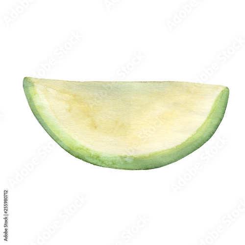 Watercolor melon fruit. Hand drawn summer illustration. Design for fabric, packaging, textile, cover, postcard, paper, stationery, scrapbooking, wrapping, clothes, stickers, cards, posters, logo