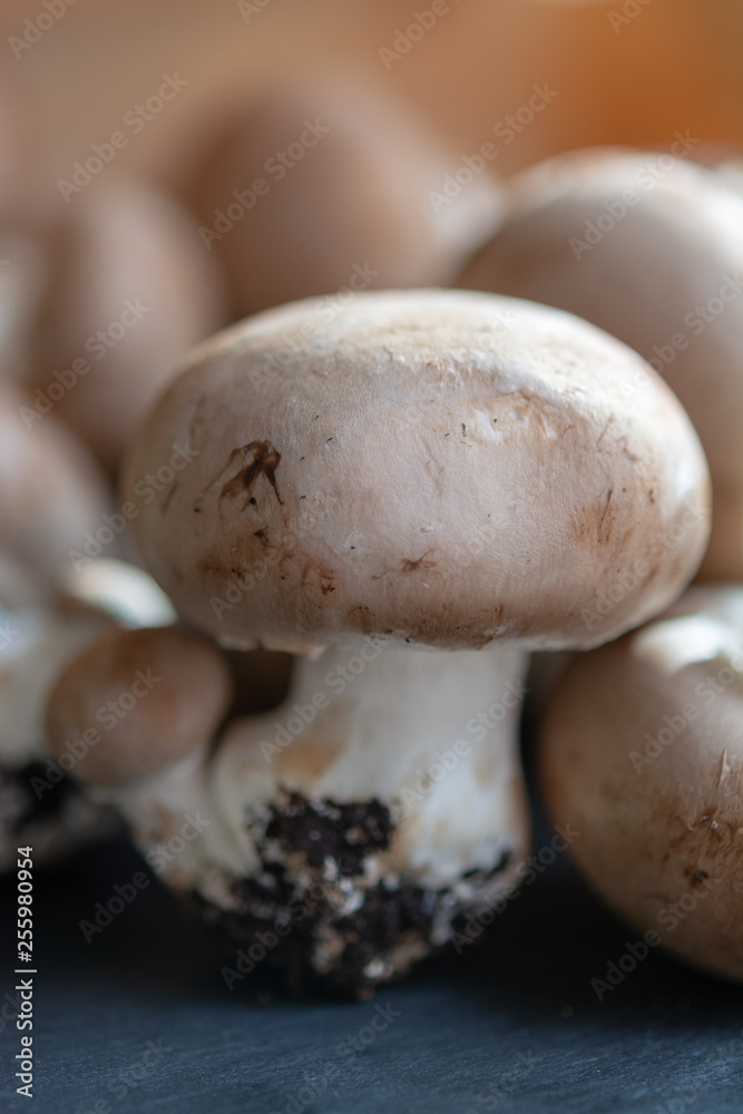 Fresh organic brown chestnut champignons from underground caves in Belgium Fresh organic brown chestnut champignons from underground caves in Belgium