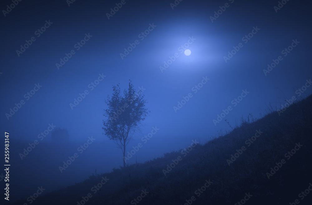 Naklejka premium Lonely tree on a hill in a night valley