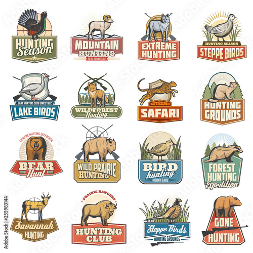 Wild animals and birds, hunting sport icons