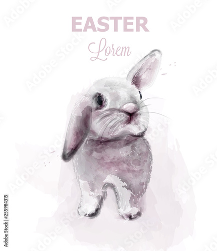 Easter bunny rabbit Vector. Cute pet holiday card isolated on whites