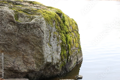  A mossy huge boulder lies in the water off the coast. Embossed letters are visible on it.
