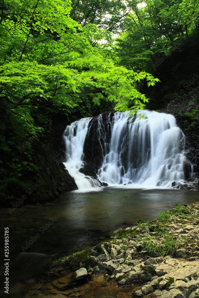 新緑の滝