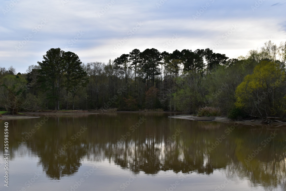 calm view of pelahatchie bay