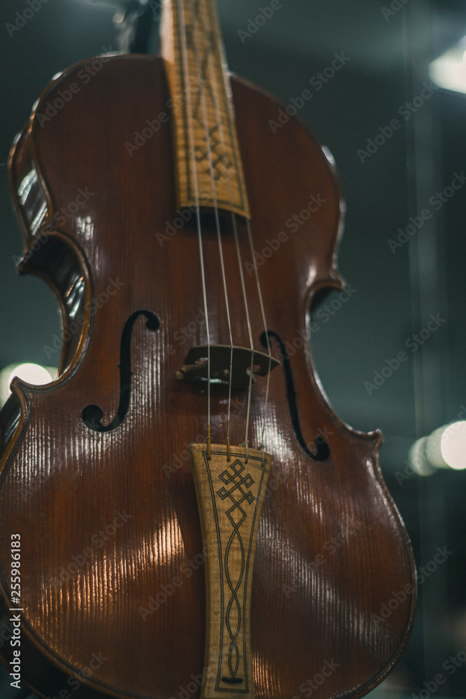 Obraz premium Violin