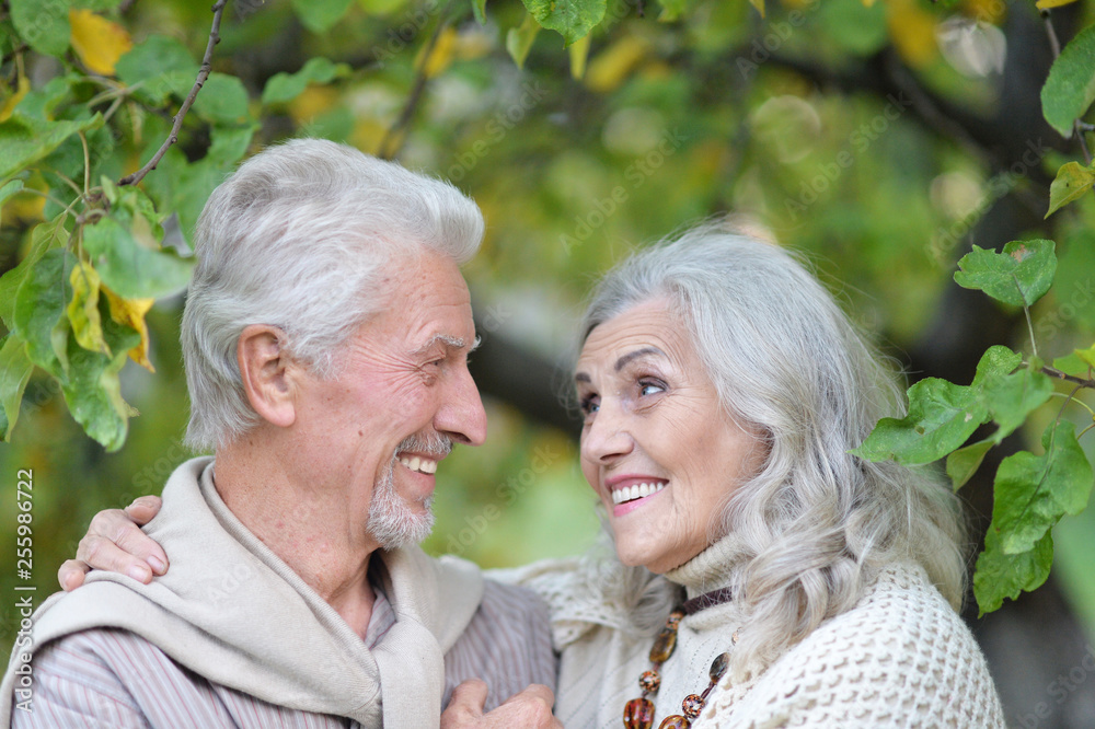 Beautiful senior couple hugging in the park