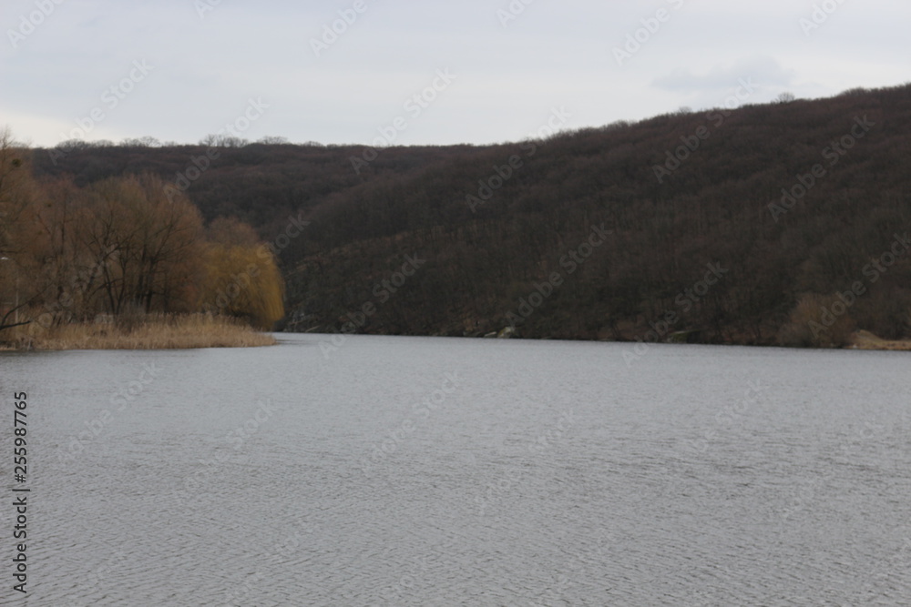  The shore of a forest lake is empty and crowded in early spring