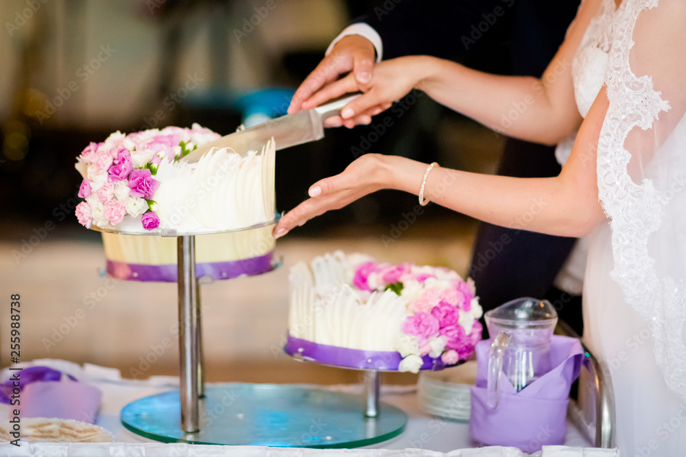 Newlyweds wedding cake cutting detail Newlyweds wedding cake cutting detail