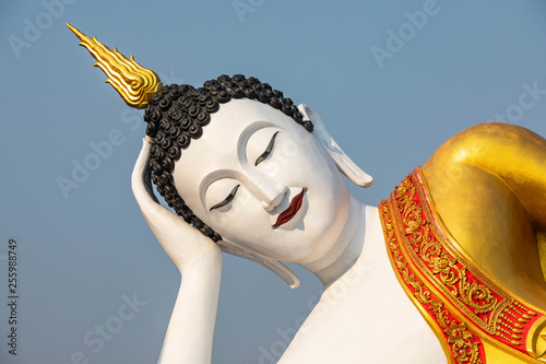 Obraz na płótnie green giant contrasting with the white Buddha, Wat Phra That Doi Kham temple, Chiang Mai, Thailand w salonie