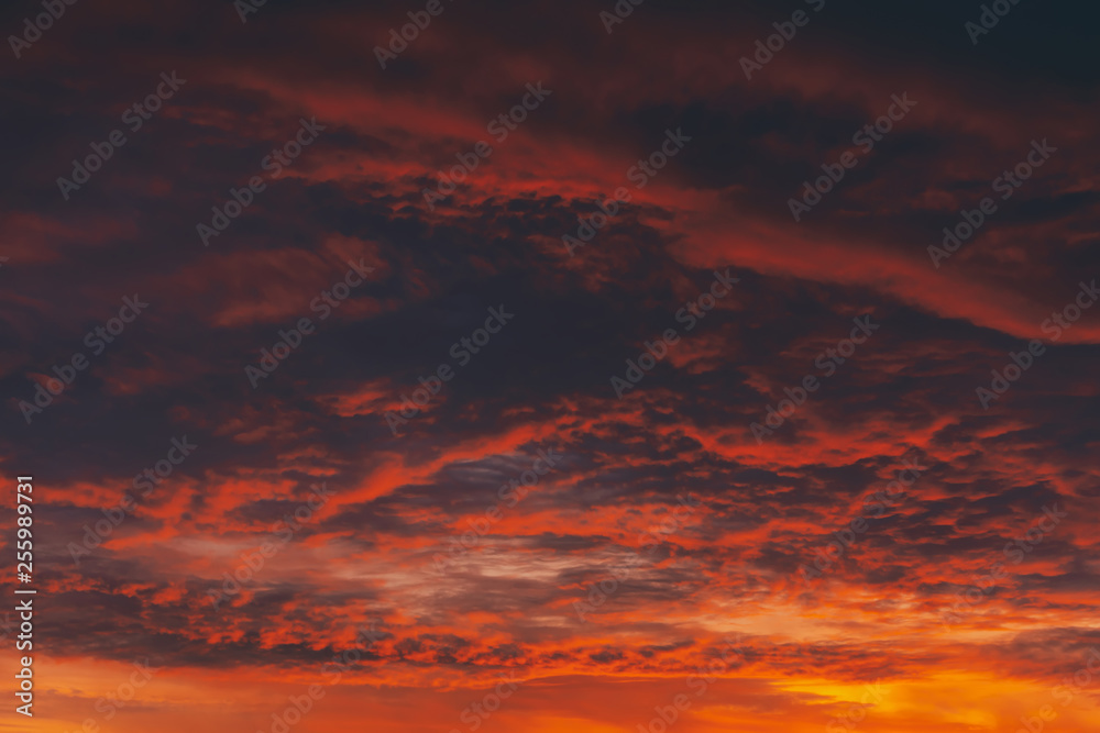 Fiery red blood vampire dawn. Amazing warm dramatic fire cloudy sky. Vivid orange sunlight. Atmospheric background of sunrise in overcast weather. Hard cloudiness. Storm clouds warning. Copy space.