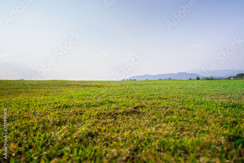 landscape of grass field and green environment public park use as natural background  backdrop.
