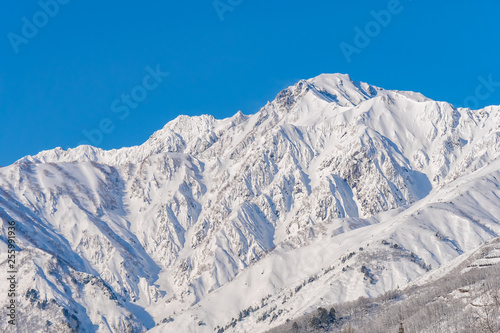 長野県白馬村 雪山の雪景色