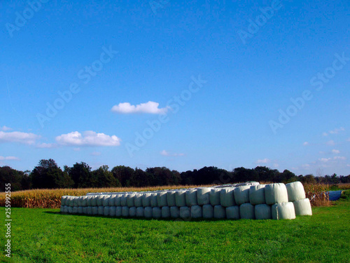 Ballensilage photo