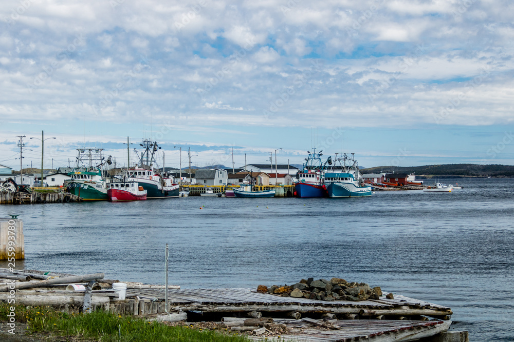 Fishing village, Route 450, Newfoundland Canada Fishing village, Route 450, Newfoundland Canada