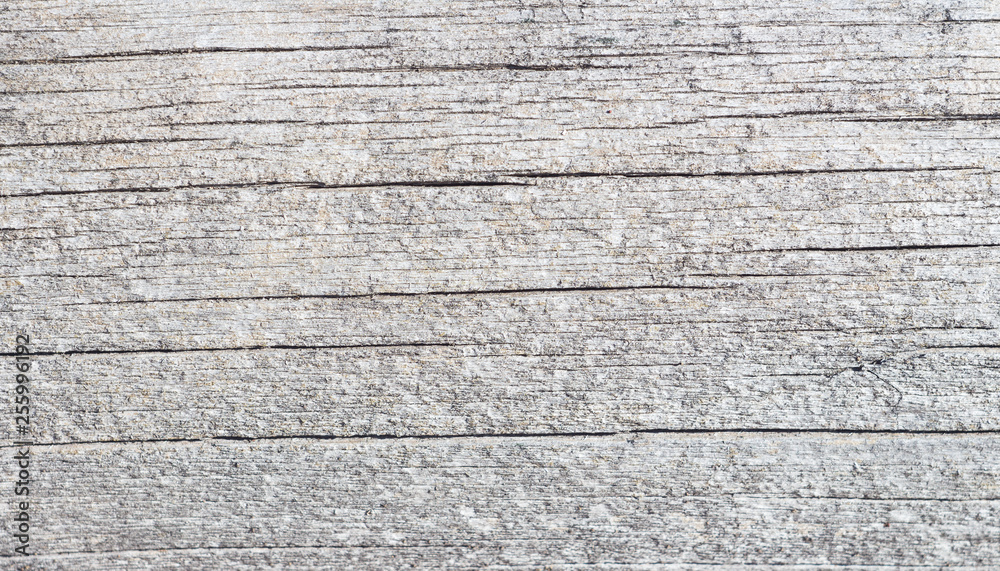 Fototapeta premium WHITE WOOD VINTAGE TEXTURE