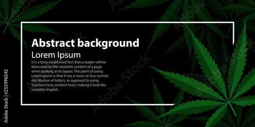 green cannabis leaf drug marijuana herb Background. Vector Marijuana Frame Cannabis Green Leaf. Vector illustration