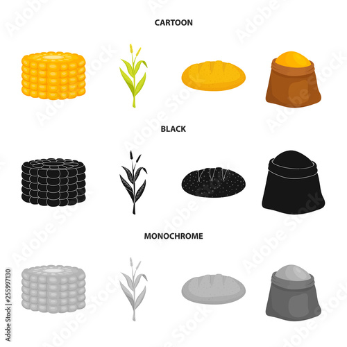 Vector illustration of cornfield and vegetable logo. Set of cornfield and vegetarian stock vector illustration.