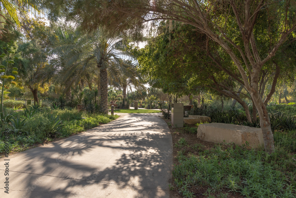 Romantic morning stroll in an urban desert park, Abu Dhabi