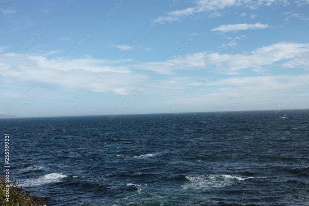海 海
