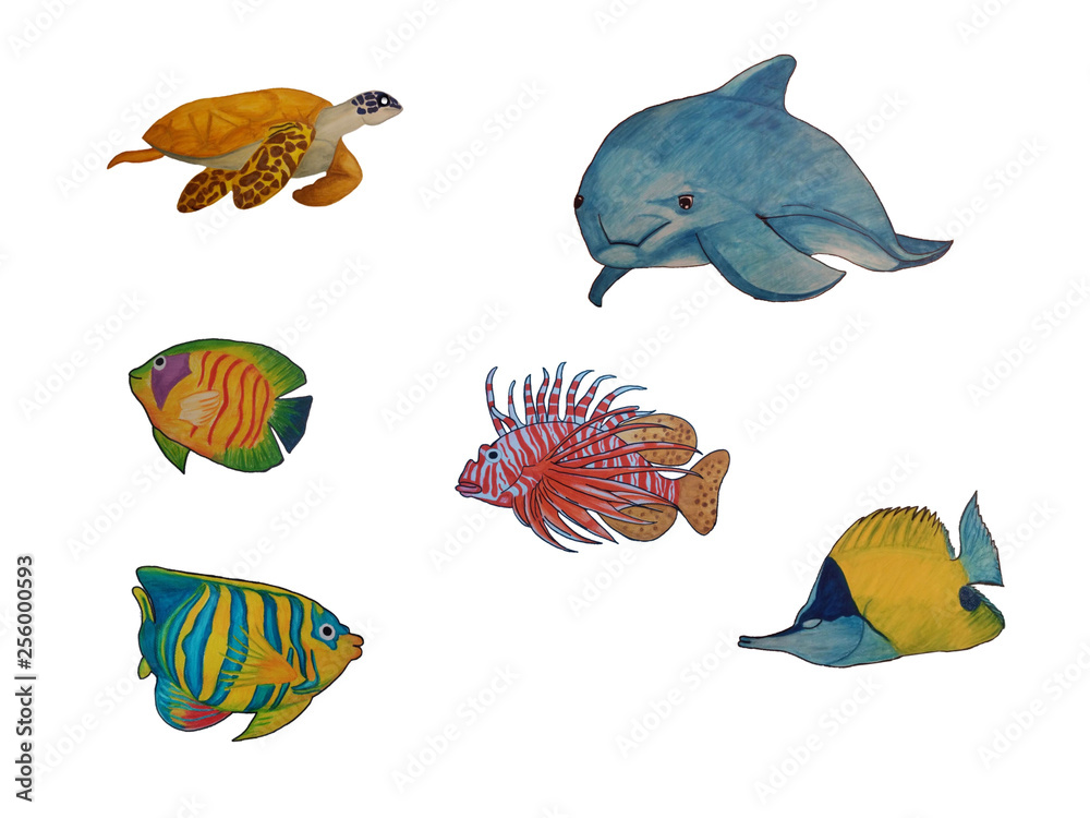 Many Sea Fish Painting on isolated background Many Sea Fish Painting on isolated background