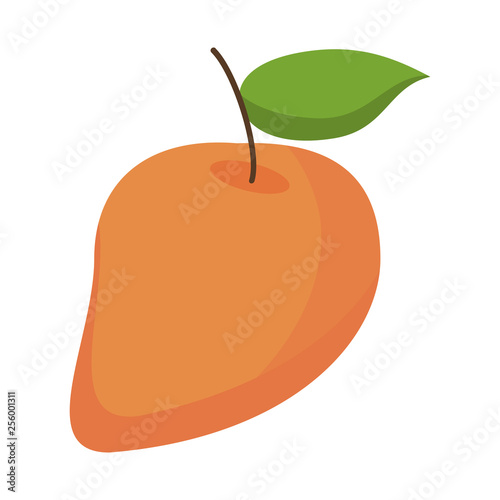 Mango fruit fresh food