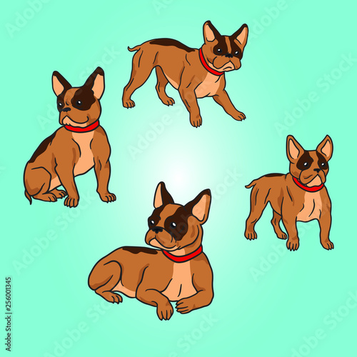 bulldog vector