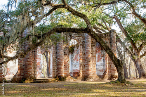 Enigmatic ruins of burned down Old Sheldon church surrounded by oaks, South Carolina, USA photo