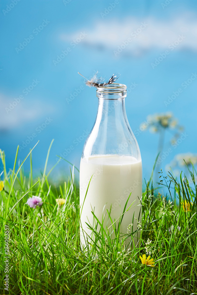 lait lait