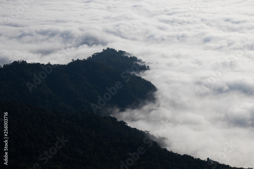 Chiang rai province "Doi Pha Tung" moutain in Wiang Kaen district is a famous place attraction for tourist with beautiful sunrise and sea of fog near "phu chi fah" another landmark in chiangrai