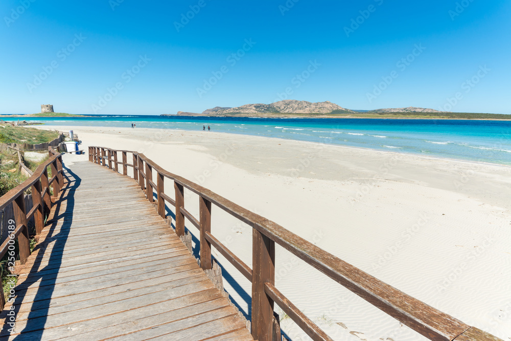landscape of La Pelosa beach in a sunny day