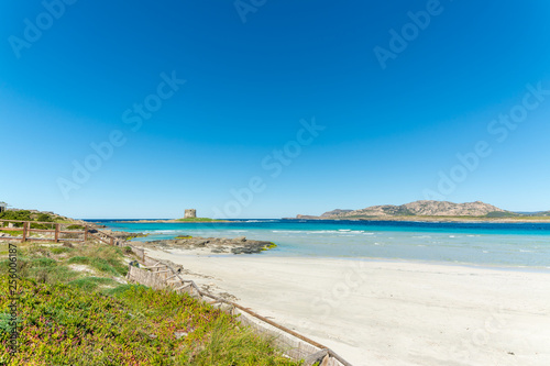 landscape of La Pelosa beach in a sunny day © replica73