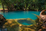 Wild nature blue pond in rainforest with underwater cave 