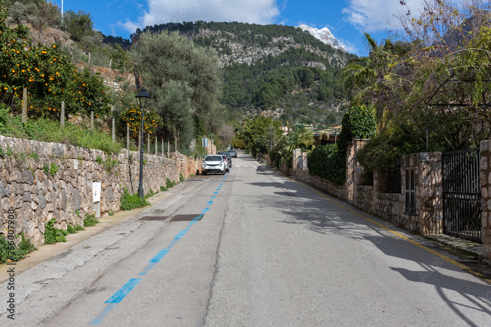 Typische mediterrane Straße, begrenzt durch Orangen Haine, läuft in der Ferne auf einen Berg zu