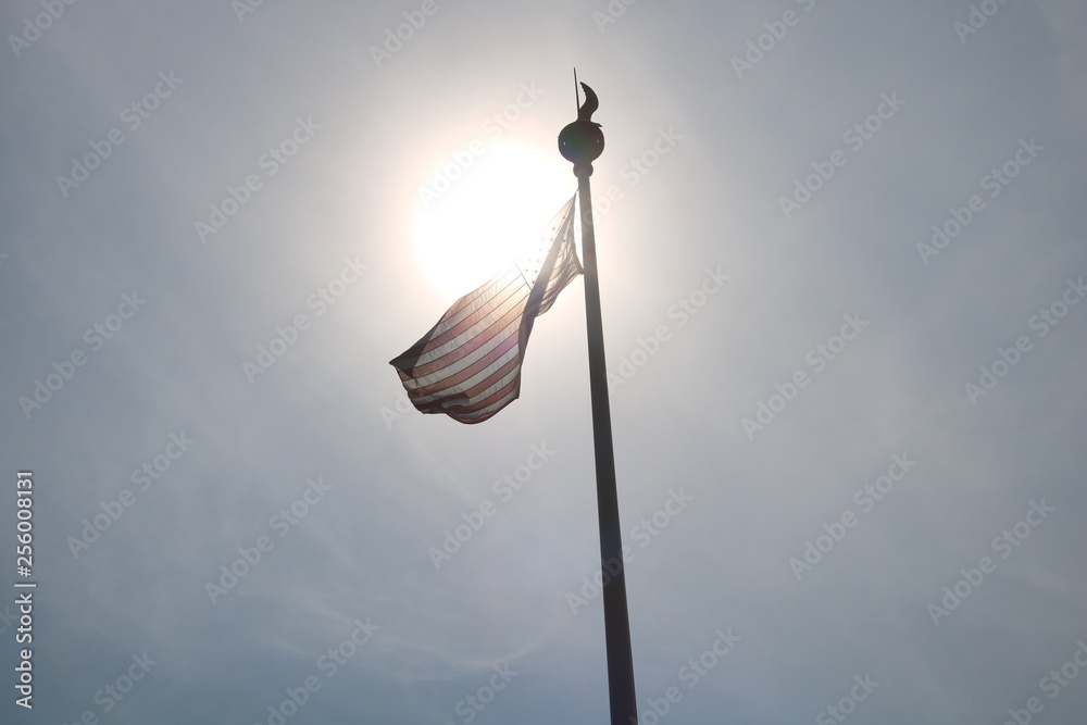 US Flag US Flag
