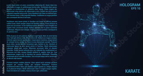 Karate hologram. Digital and technological background of martial arts. Karate consists of rays of light.